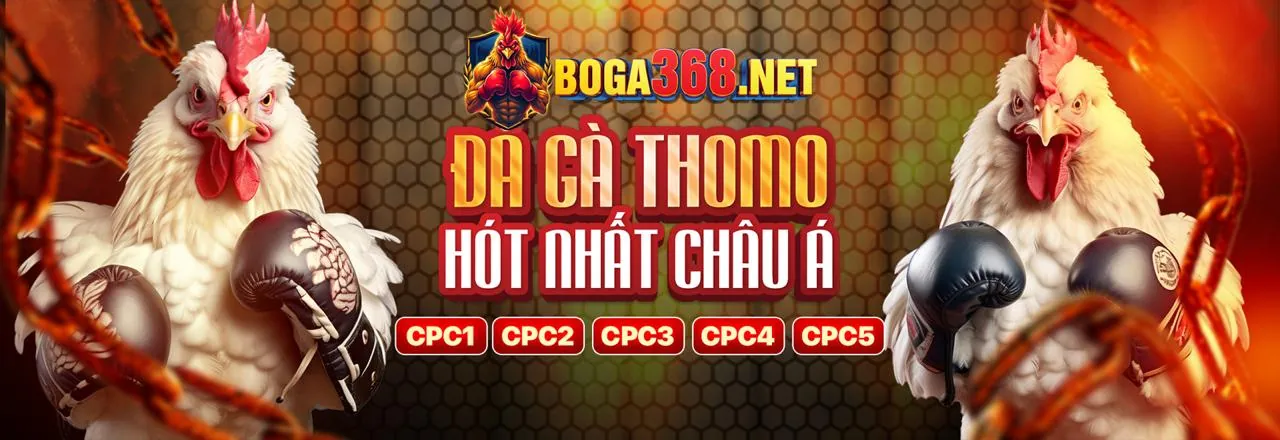 Hình ảnh đại diện Sodo369 link vào